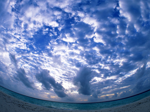 25658 (a): :1600x1200